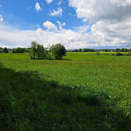 Nest And Nature Strauch * Simmerath